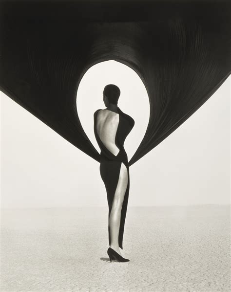 herb ritts versace|Versace Dress Back View, El Mirage, 1990 .